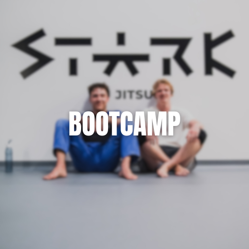 Stark Bootcamp